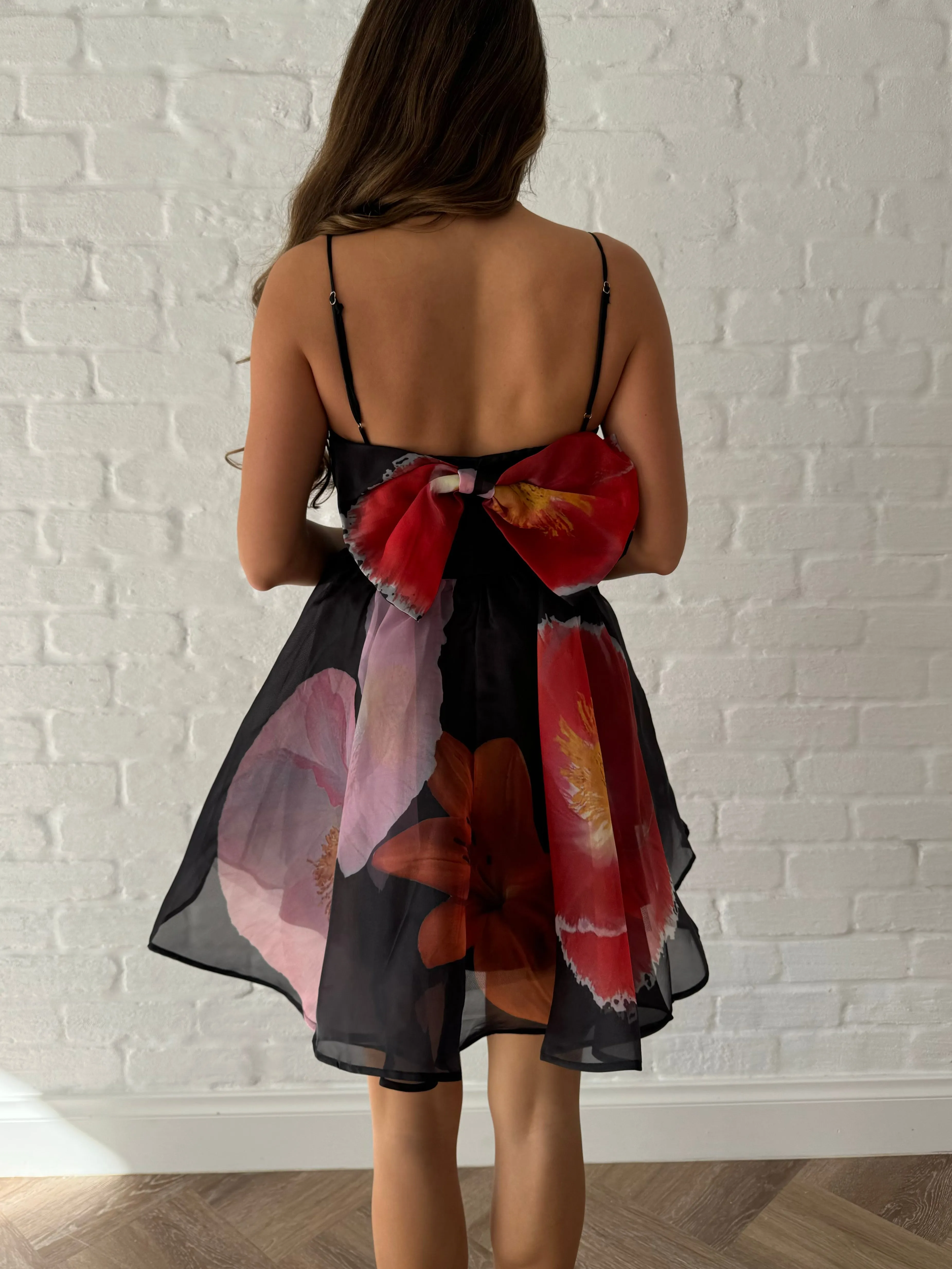 Alita mini dress