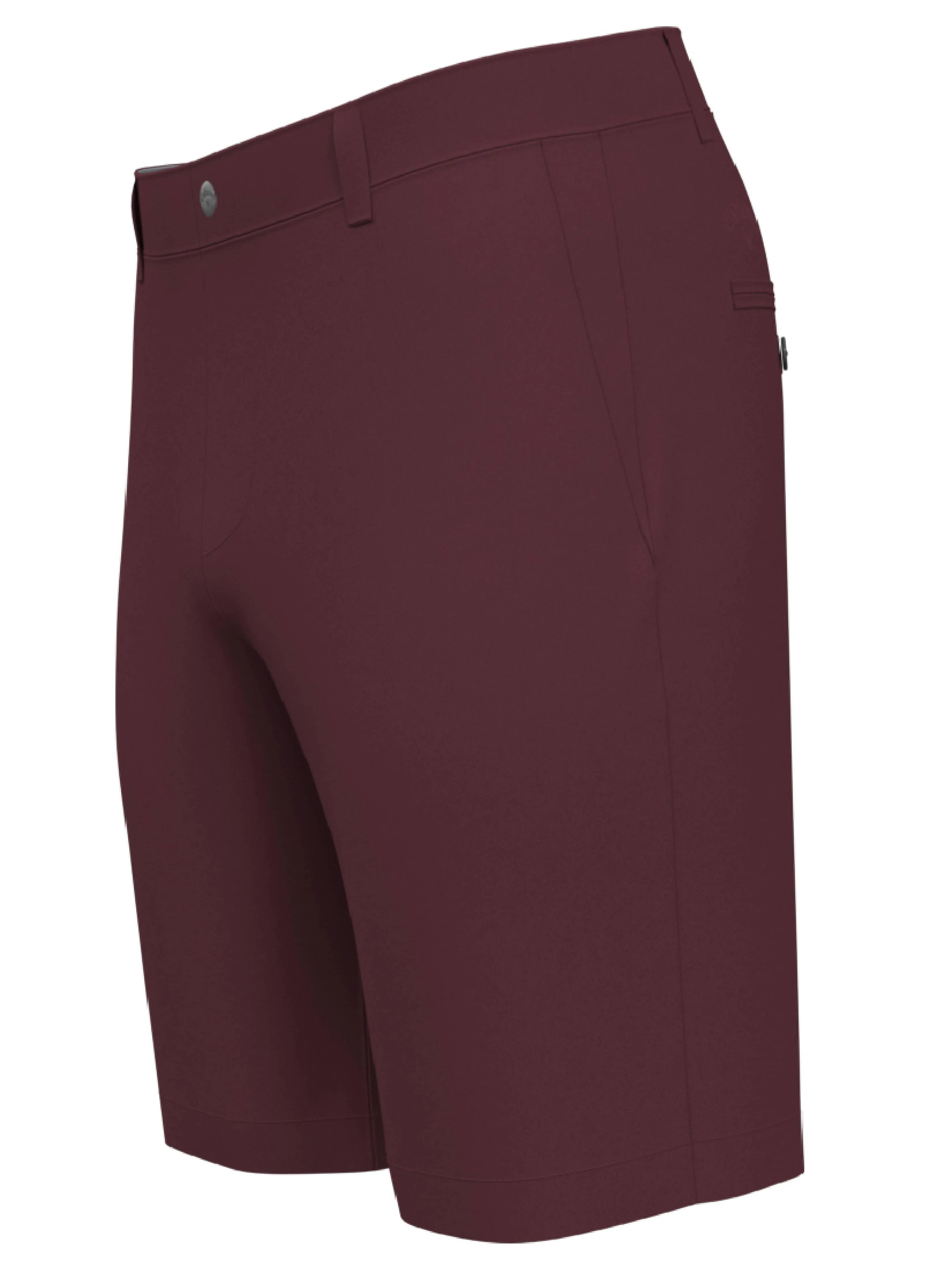 Big & Tall Flat Front Stretch Golf Short