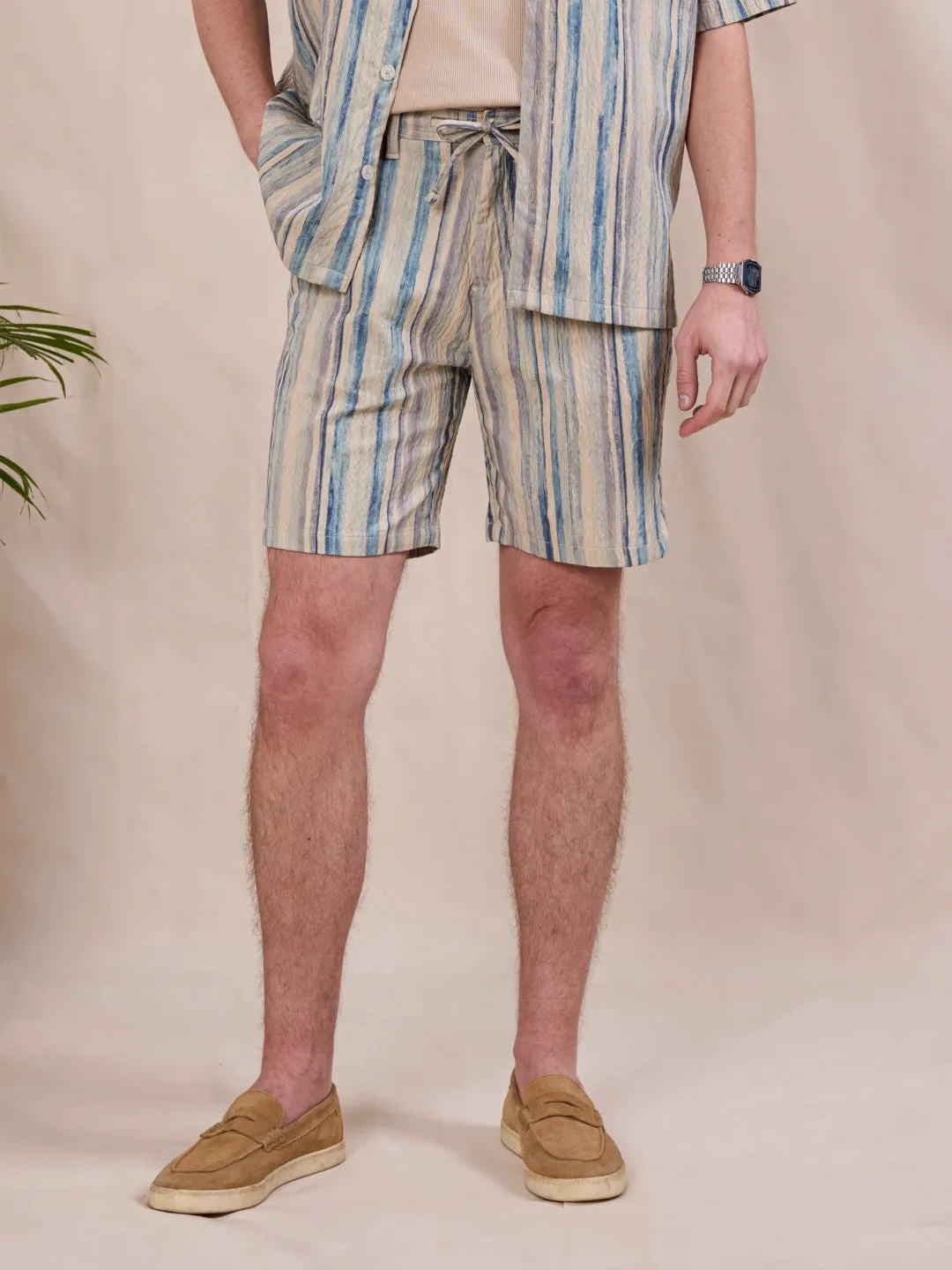 Blue Striped Cotton Shorts