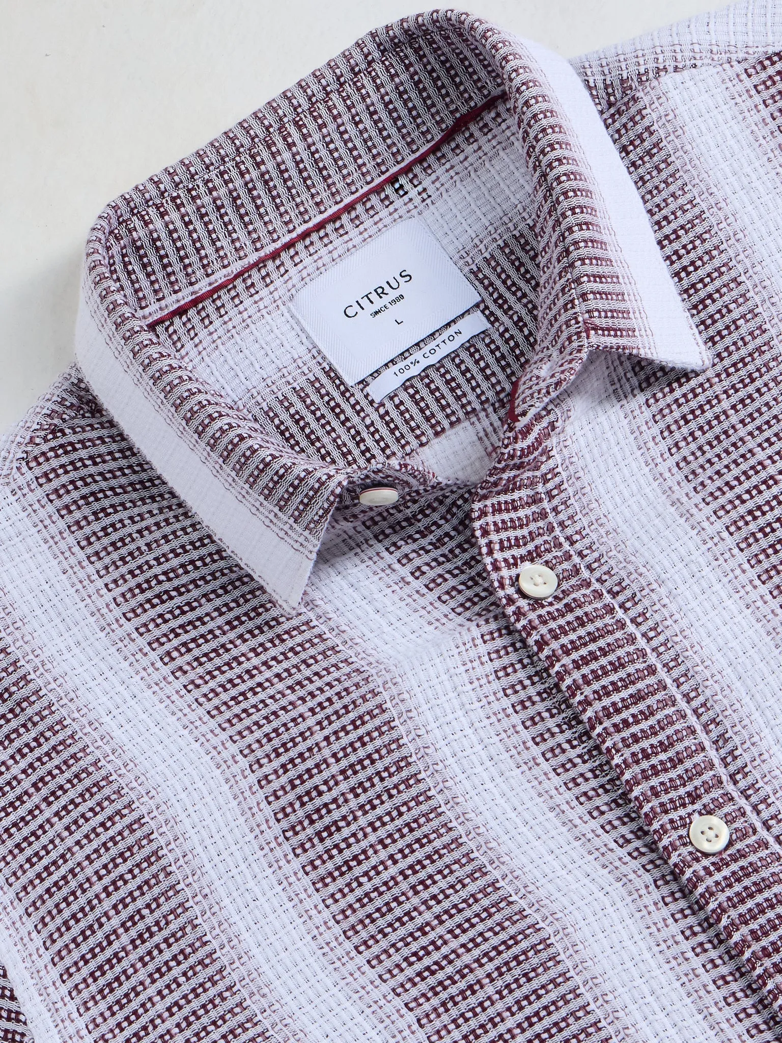 Blue Striped Slim Fit Shirt