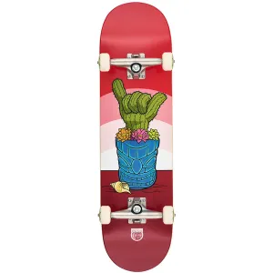 Deca - Murphys Cactus Lookin Sharp 8.5 Complete Skateboard