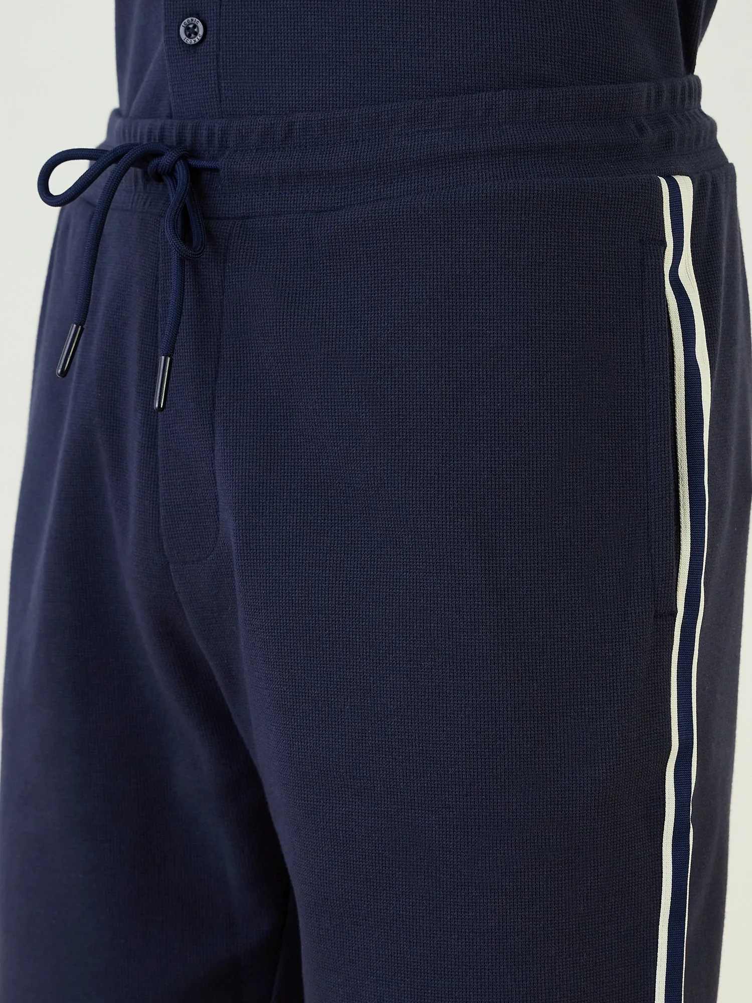 Iconic Men Blue Regular Fit Textured Shorts
