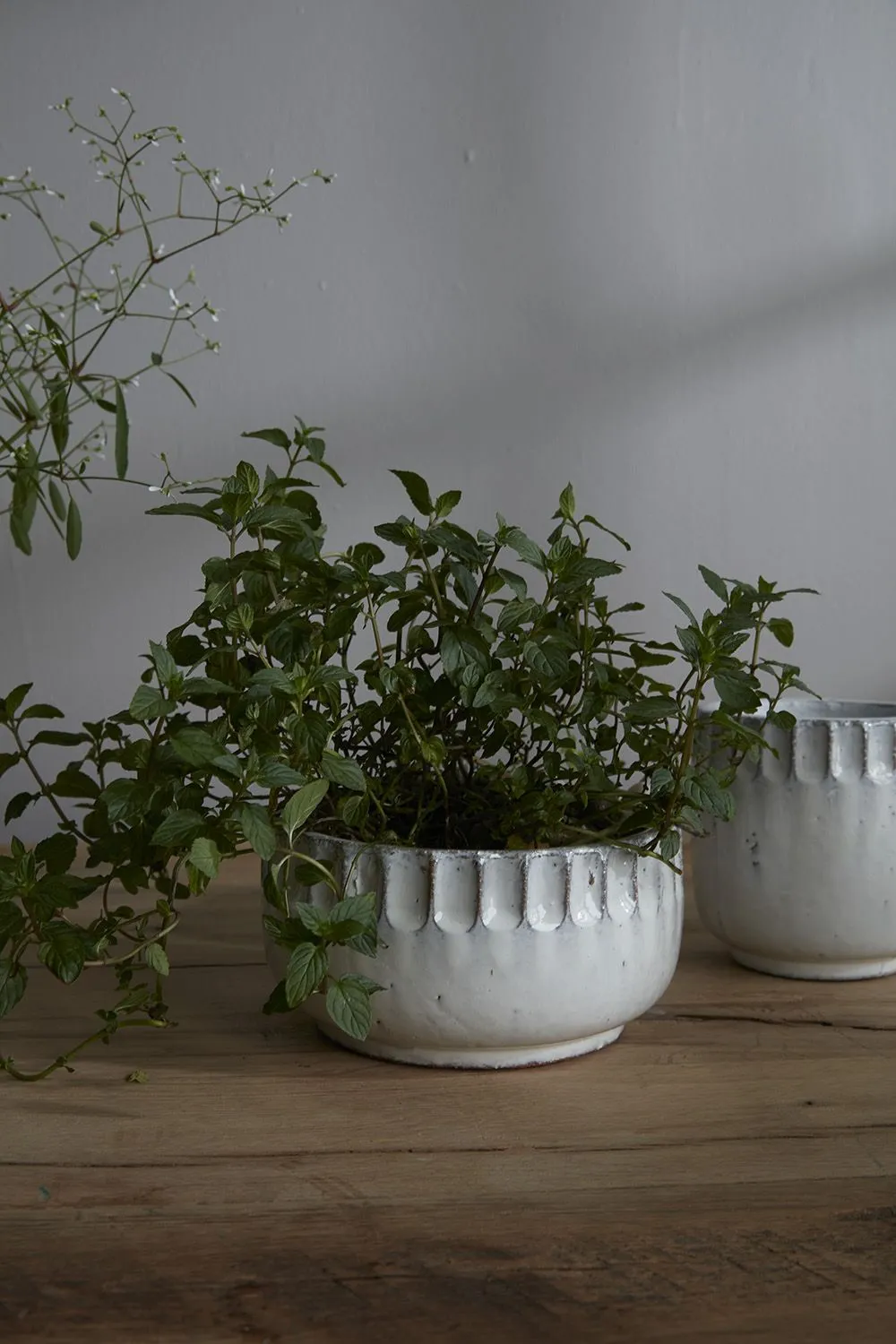 Kiana Ceramic Textured Pot