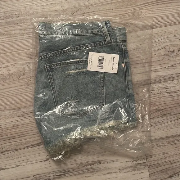 NWT Free People Loving Good Vibrations Shorts in Somerset