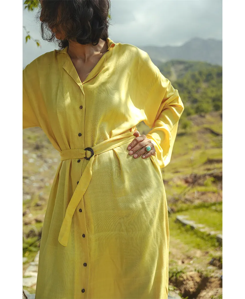Silk Relaxed Dress